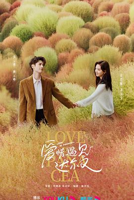 宁波seo流量优化